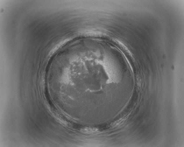 X0000081570487200701291218