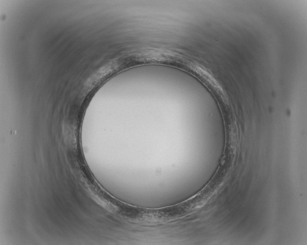 X0000081570489200701291218