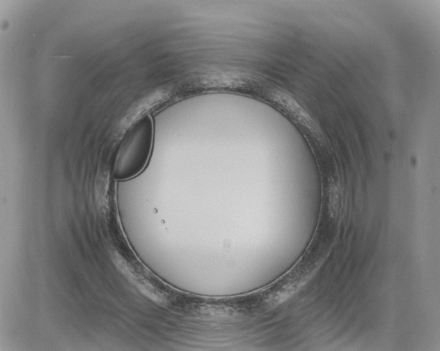 X0000081570490200701291218