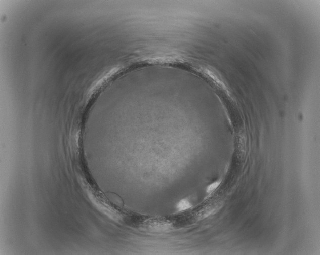 X0000081570491200701291218