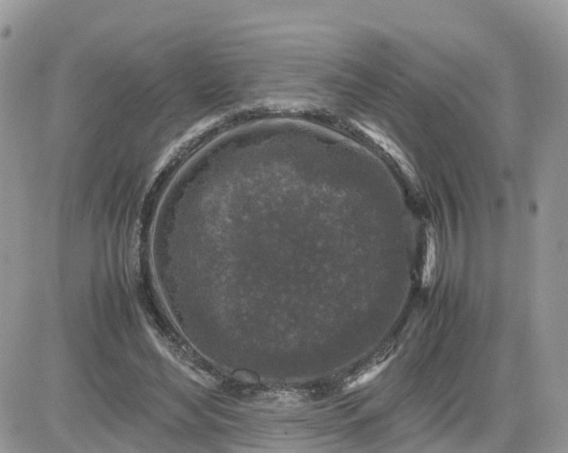 X0000081570492200701291218