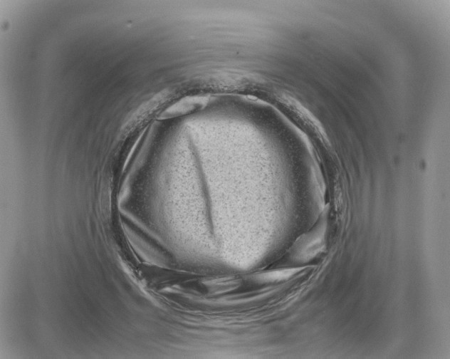 X0000081570493200701291218