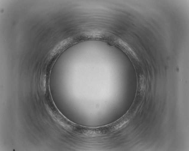 X0000081570494200701291218