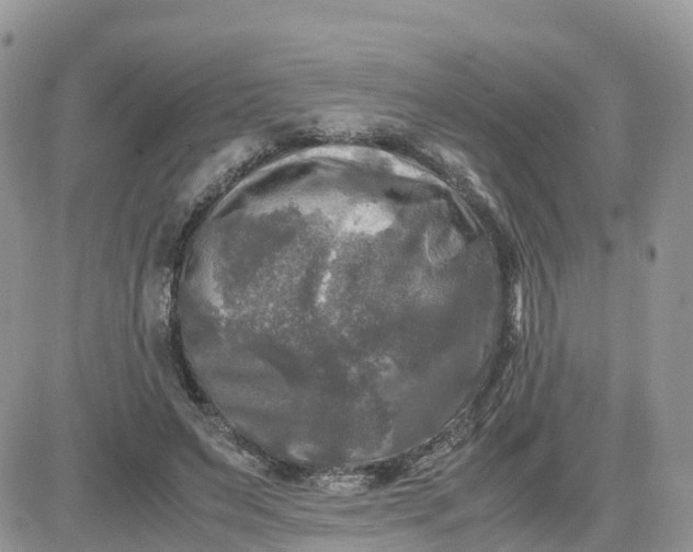 X0000081570495200701291218