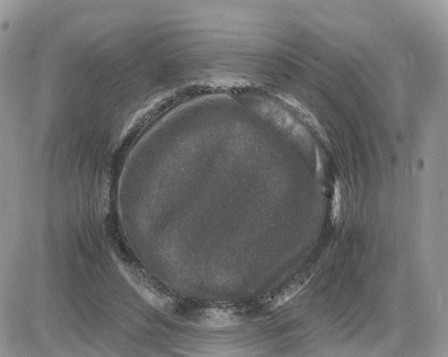 X0000081570496200701291218