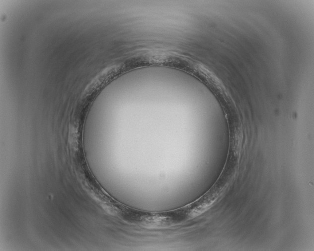 X0000081570497200701291218