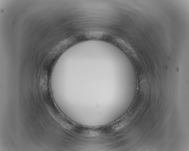 X0000081570498200701291218