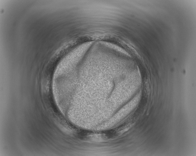 X0000081570499200701291218