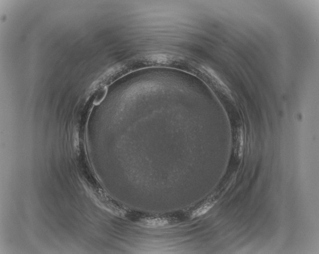 X0000081570500200701291218