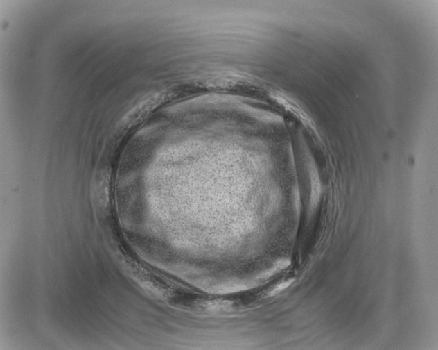 X0000081570501200701291218