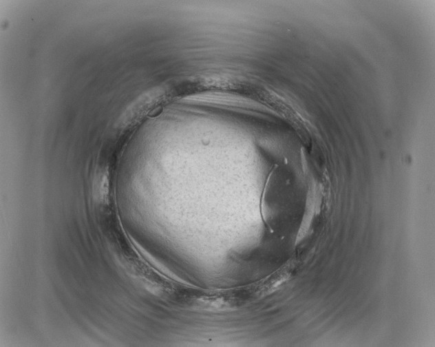 X0000081570502200701291218