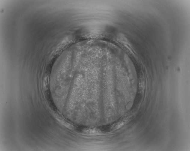 X0000081570503200701291218