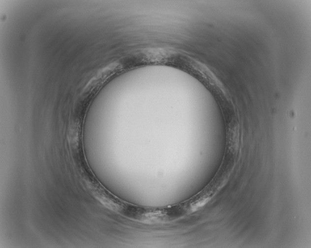 X0000081570505200701291218