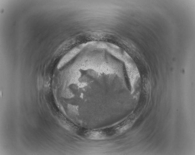 X0000081570507200701291218