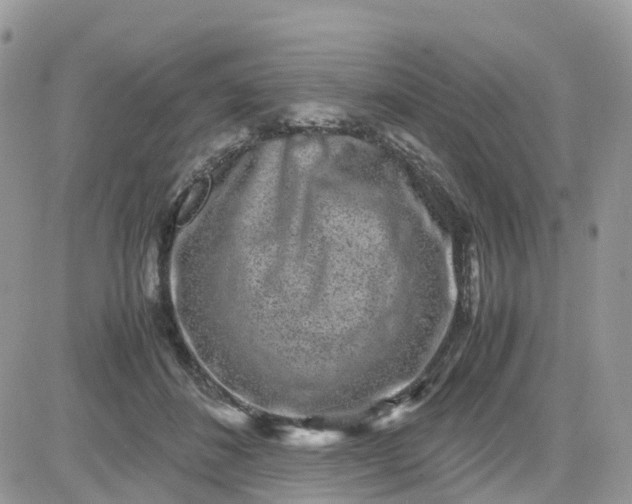 X0000081570508200701291218