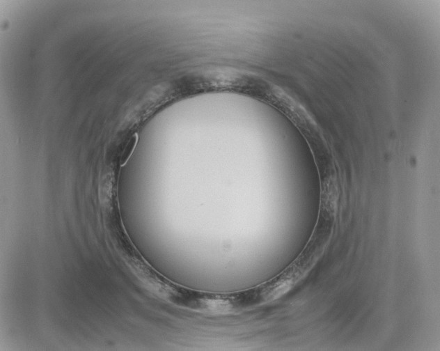 X0000081570509200701291218