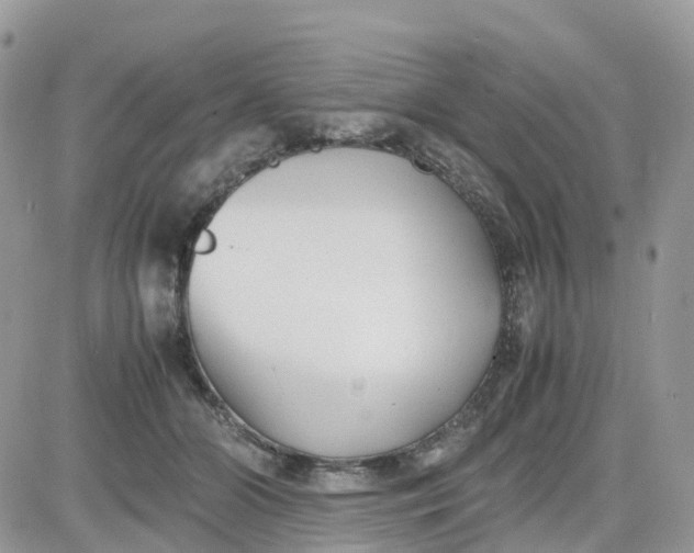 X0000081570510200701291218