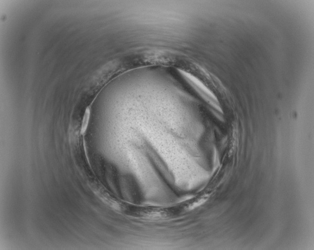 X0000081570513200701291218