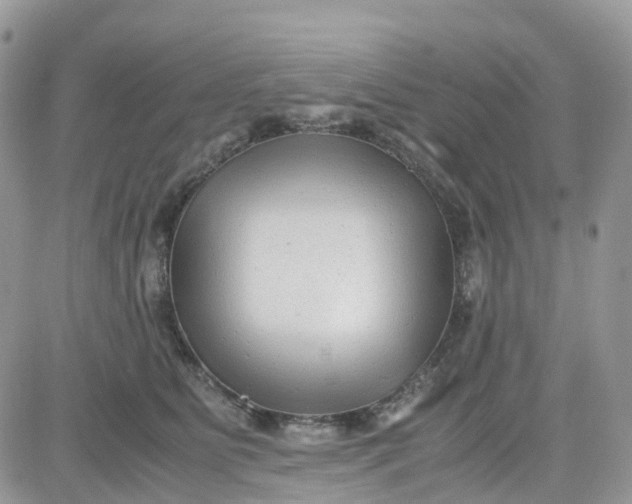 X0000081570515200701291218