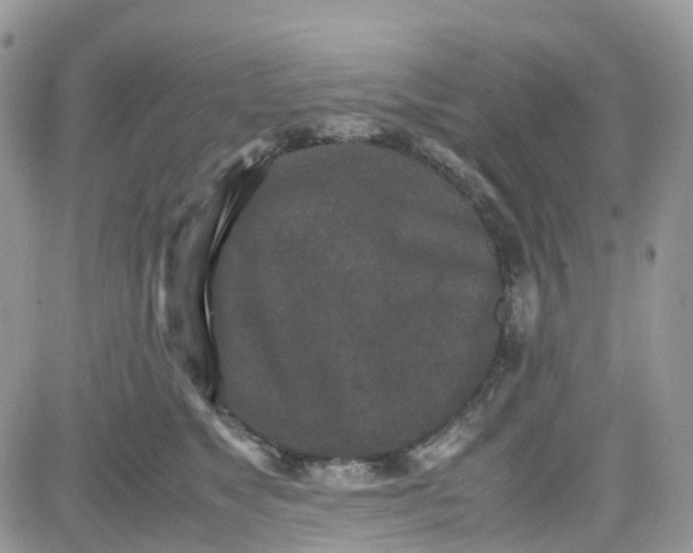 X0000081570517200701291218