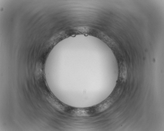 X0000081570518200701291218