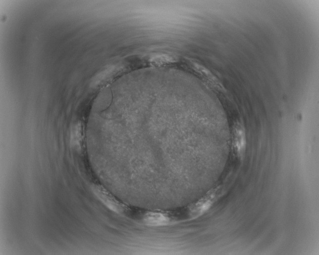 X0000081570519200701291218