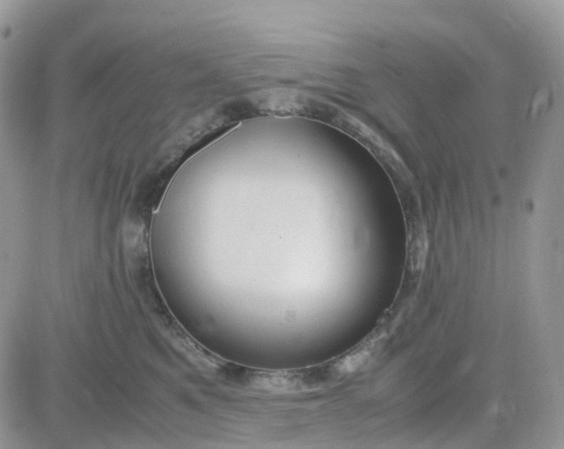 X0000081570521200701291218