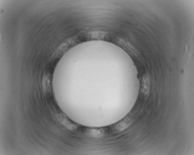 X0000081570522200701291218