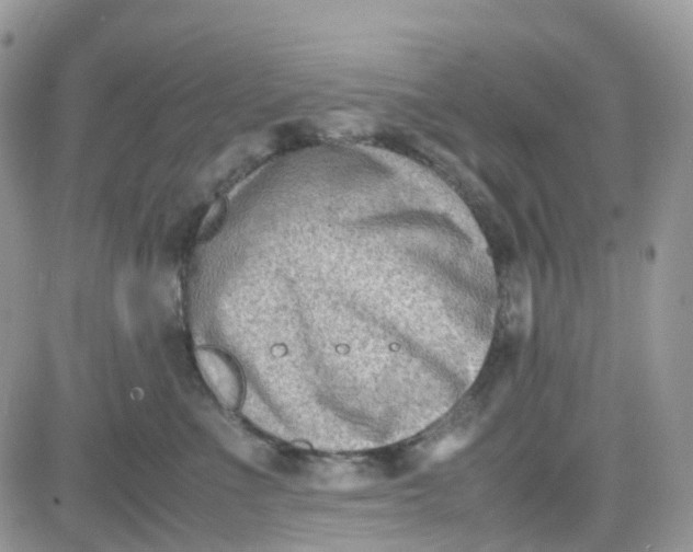 X0000081570523200701291218