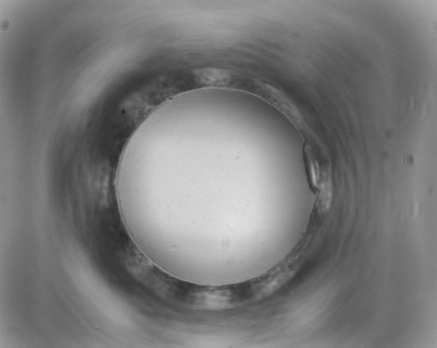 X0000081570525200701291218