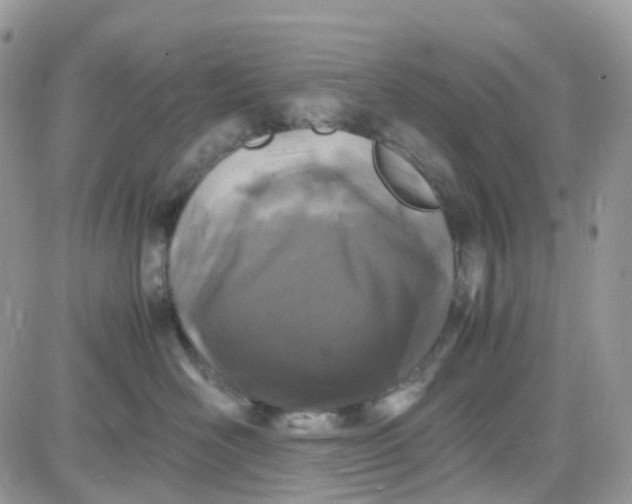 X0000081570526200701291218