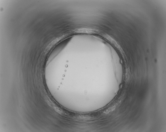 X0000081570529200701291217