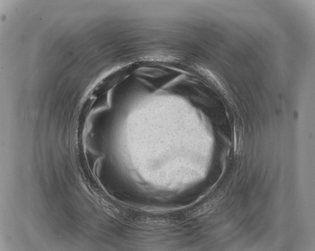 X0000081570531200701291217