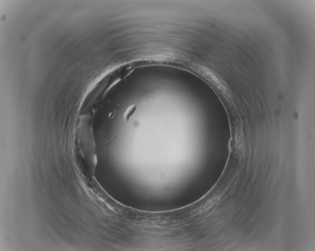 X0000081570532200701291217