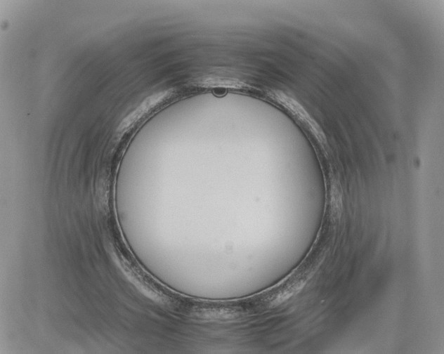 X0000081570533200701291217