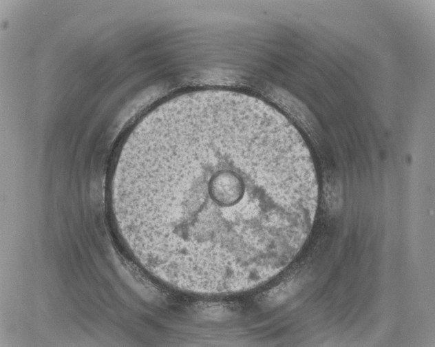 X0000081570534200701291217