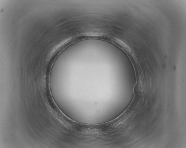 X0000081570535200701291217