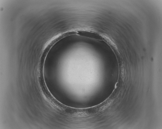 X0000081570536200701291217