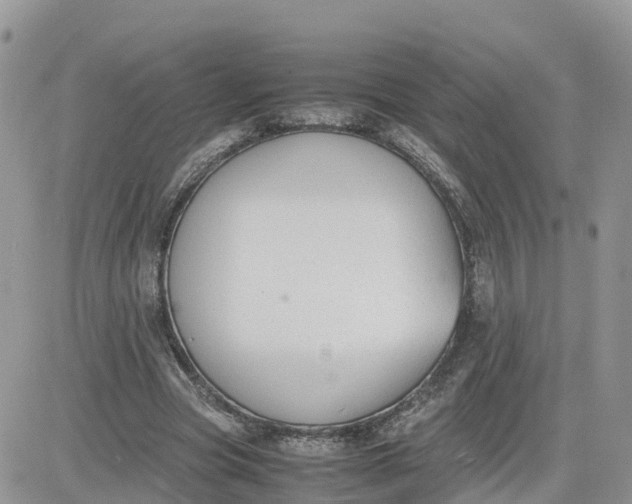 X0000081570537200701291217