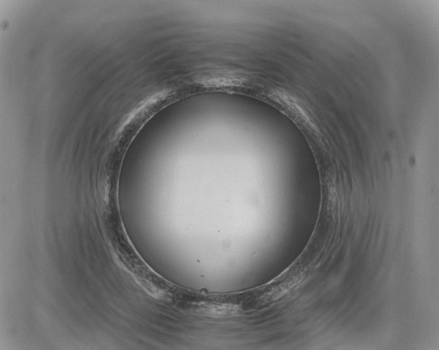 X0000081570539200701291217