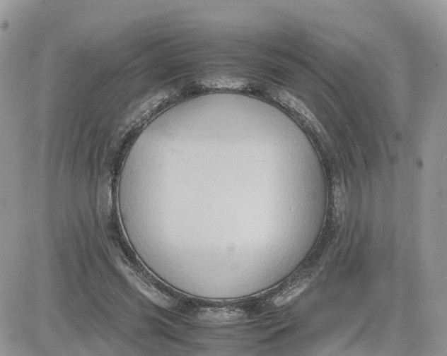 X0000081570541200701291217