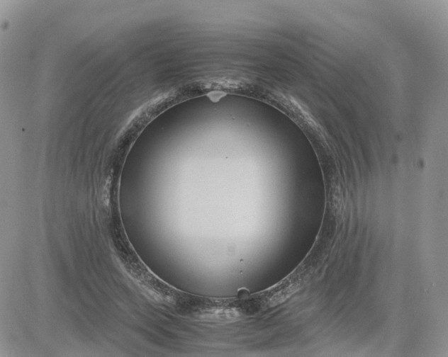 X0000081570543200701291217