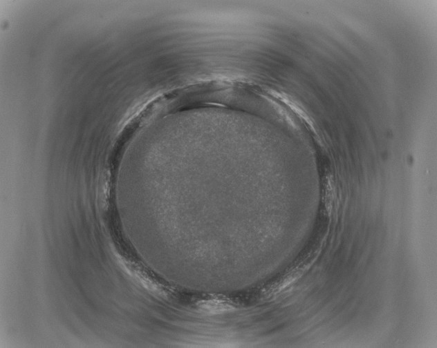 X0000081570544200701291217