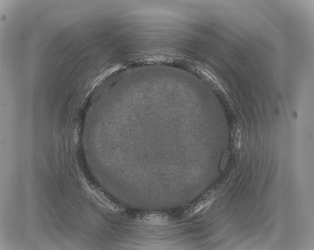 X0000081570546200701291217