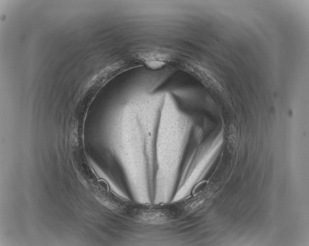 X0000081570547200701291217