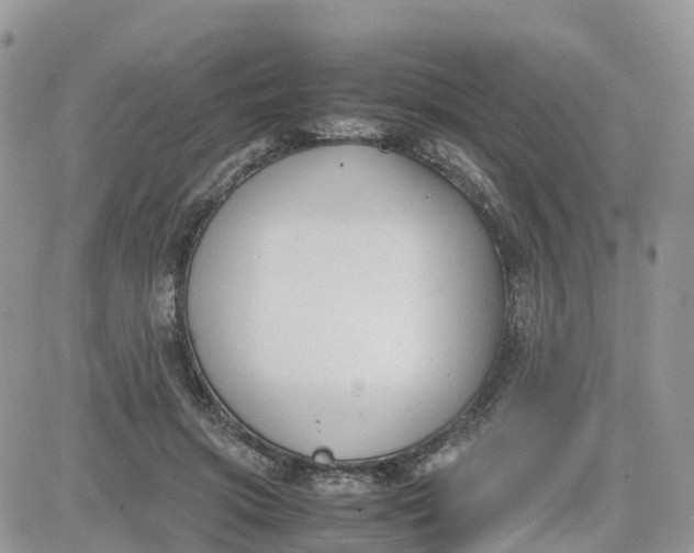 X0000081570549200701291217