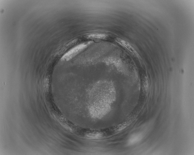 X0000081570551200701291217