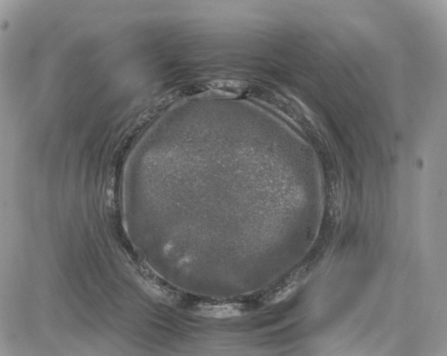 X0000081570553200701291217