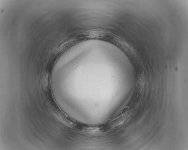 X0000081570554200701291217