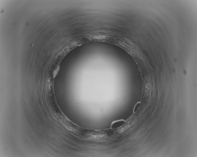 X0000081570555200701291217